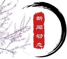 图片展示