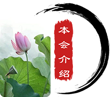 图片展示